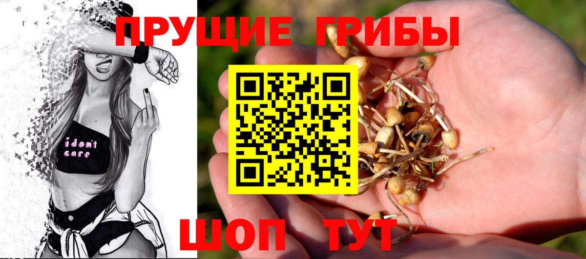 Галлюциногенные грибы ЛСД Иваново