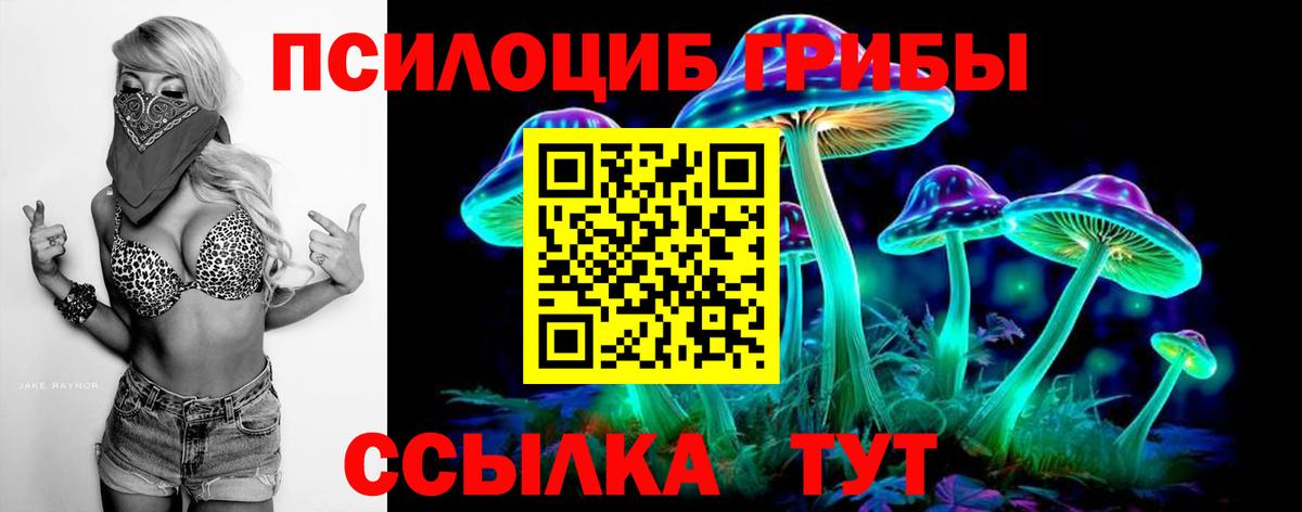 Псилоцибиновые грибы мухоморы  Вход с VPN  где купить наркоту  Иваново 
