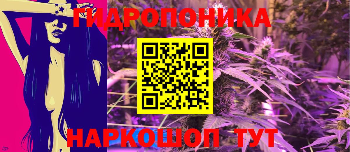 Шишки марихуана семена  Вход с VPN  Иваново  Бошки марихуана OG Kush 
